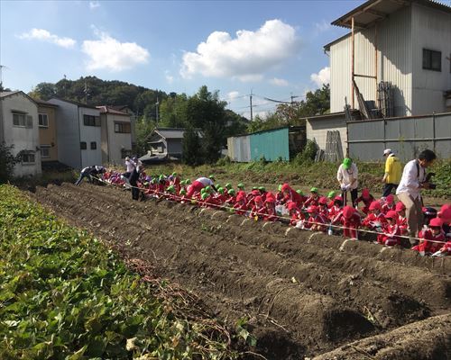 サムネイル画像