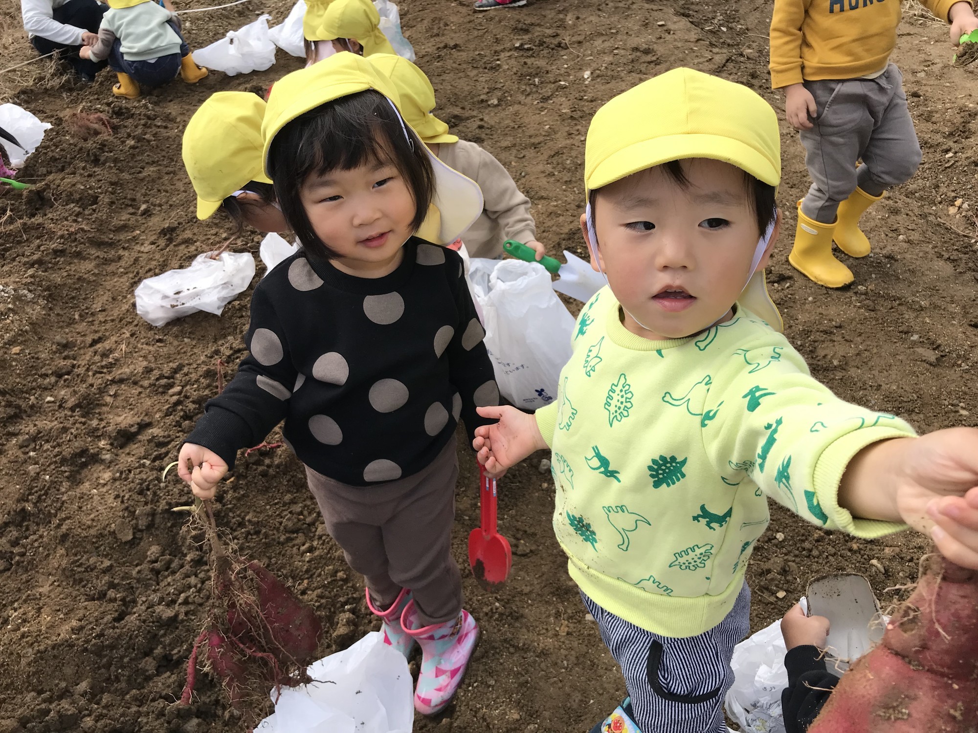 サムネイル画像