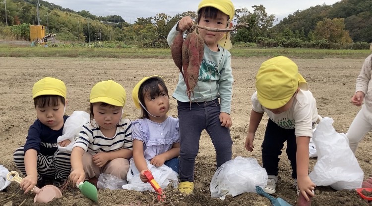 サムネイル画像
