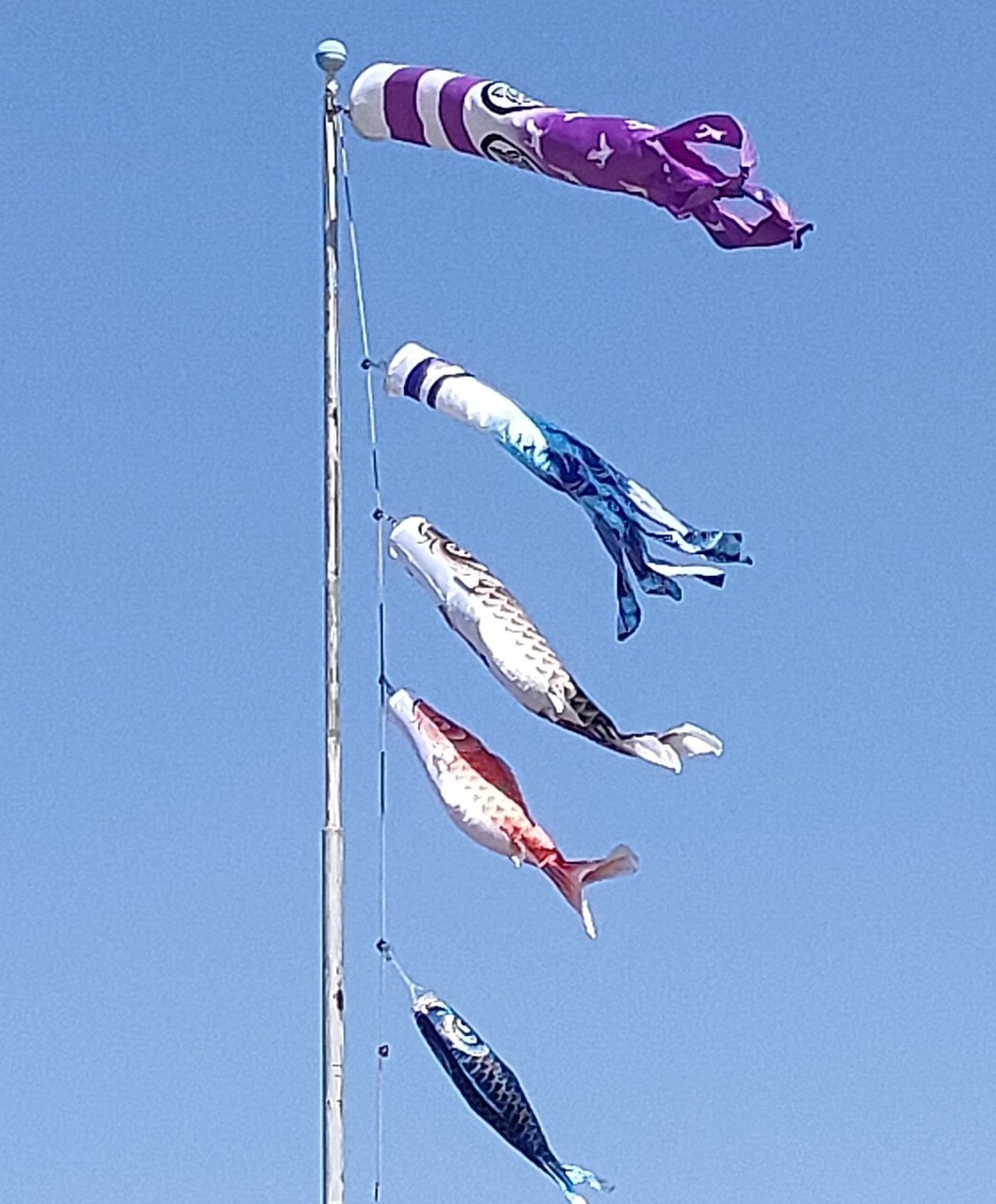サムネイル画像